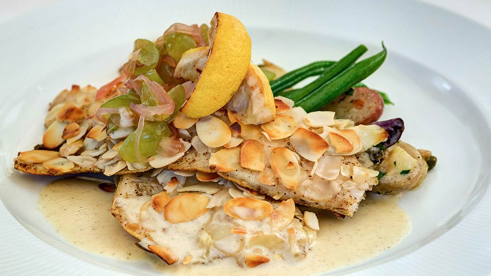 Allegheny Mountain Trout