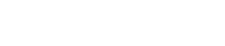 
The Plaza
   in New York