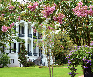 Nottoway Plantation and Resort