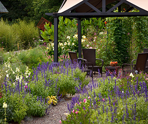 The Settlers Inn at Bingham Park