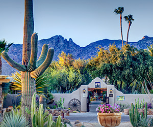 Hacienda Del Sol Guest Ranch Resort