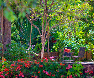 Hacienda Santa Rosa, A Luxury Collection Hotel